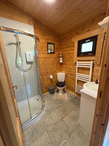 Ένα μπάνιο στο Brynmeini Lake Lodge