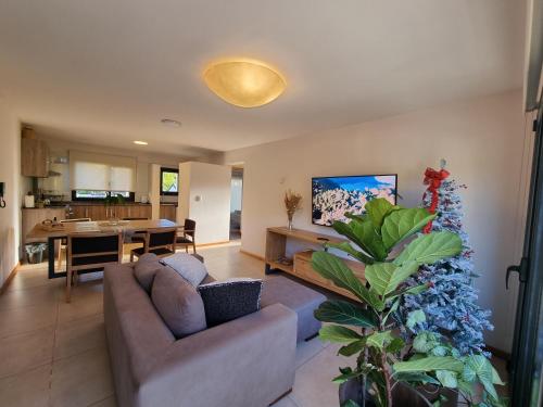 a living room with a couch and a christmas tree at ANDES Apartments - PATAGONIA in San Martín de los Andes