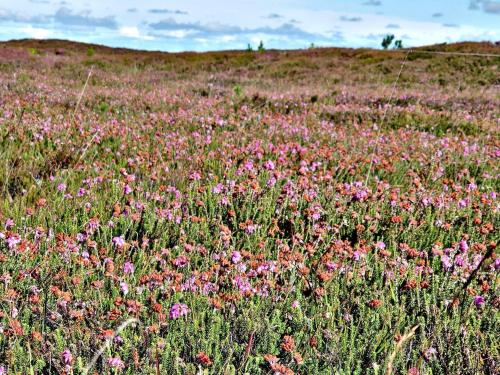 Φυσικό τοπίο κοντά σε αυτή η παραθεριστική κατοικία
