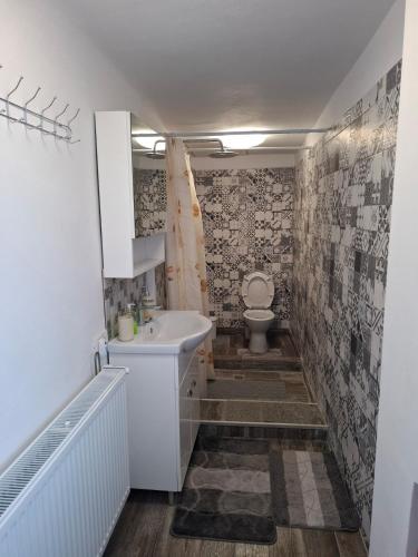 a bathroom with a white sink and a toilet at Harmony house in Buziaş