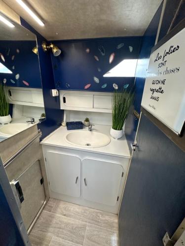 baño con lavabo y pared azul en Aquareve-location, en Valence