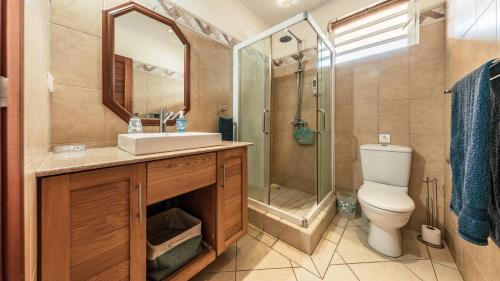 a bathroom with a sink and a shower and a toilet at Villa Bayswater in Tamarin