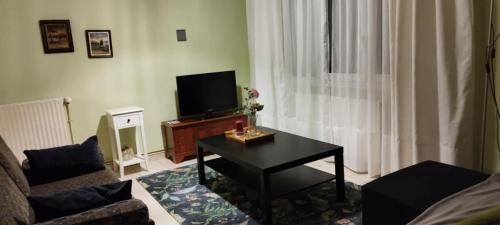 テッサロニキにあるVirginia Apartmentのテレビとコーヒーテーブルのあるリビングルーム