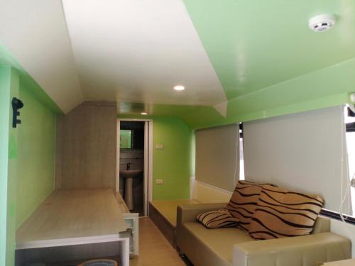 a living room with green walls and a couch at 星雲谷 in T'ung-ko