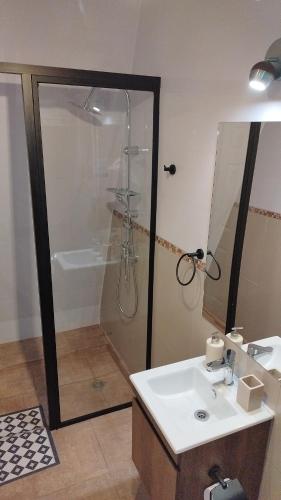 a bathroom with a shower and a white sink at Tiny Home El descanso del Pescador in Puerto Cisnes