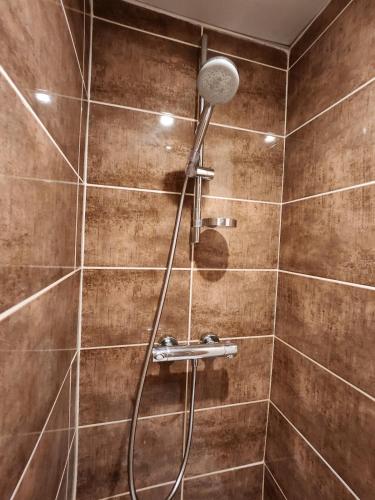 a shower with a shower head in a bathroom at T3 Le logis de Martin - city center - near Ducale Place with parking space in Charleville-Mézières