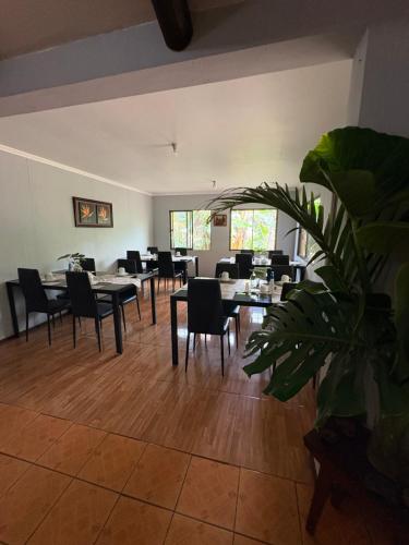 Afbeelding uit fotogalerij van Pumakari Rapa Nui in Hanga Roa