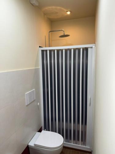 a bathroom with a toilet and a metal gate at Villa Luisetta Palmi in Palmi