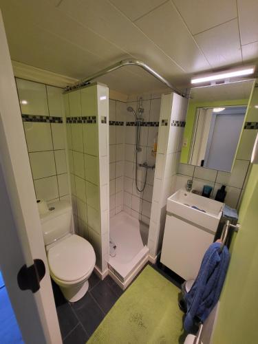 a bathroom with a toilet and a shower and a sink at L'Echappée verte in Spa