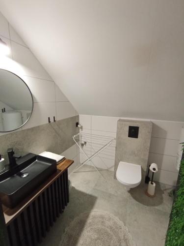 a bathroom with a sink and a toilet at Domek Wrzos in Brenna