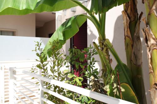 Casa Relax Suite – Photos 5