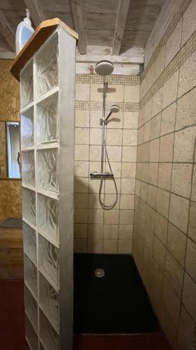 a bathroom with a shower with a glass block wall at Authentic & charming dans les Monts du Lyonnais, animaux acceptés in Larajasse
