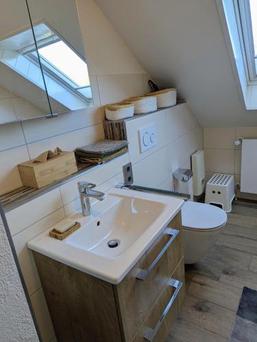 a bathroom with a sink and a toilet at Ferienwohnung am Maarberg in Ulmen in Ulmen