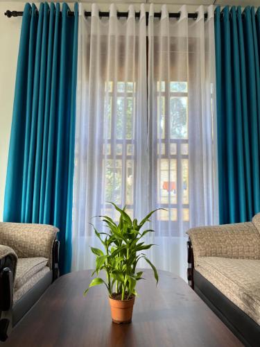 Χώρος καθιστικού στο Tea Heaven Retreat