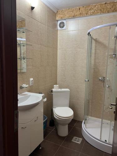 a bathroom with a toilet and a shower and a sink at Pensiunea Olympia Nădab in Nădab