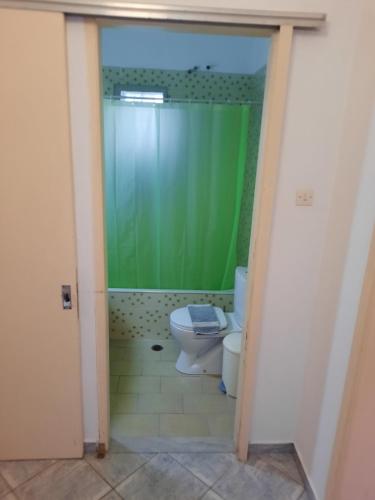 a bathroom with a toilet and a green shower at The olive House in Leonidio