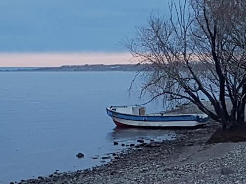 Galeriebild der Unterkunft CABAÑAS RINCON SOLEADO, Chile Chico in Chile Chico