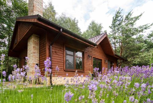 Zahrada ubytování Hotel Pory Roku