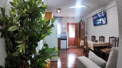 a living room with a plant in the middle of a room at Ruralux Mecina Fondales in Mecina Fondales