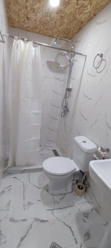 a white bathroom with a toilet and a sink at Heshklar guest house in Keshkili