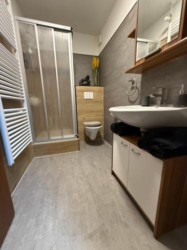 a bathroom with a sink and a shower and a toilet at Gemütliche Wohnung, Heimkino, Couch & Küche in Siegen