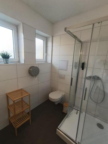 a bathroom with a shower and a toilet at Apartmány Beseda in Jablonec nad Nisou