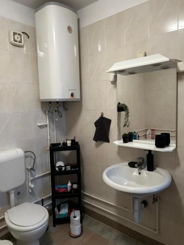 a bathroom with a white toilet and a sink at Jordan Apartman in Niška Banja