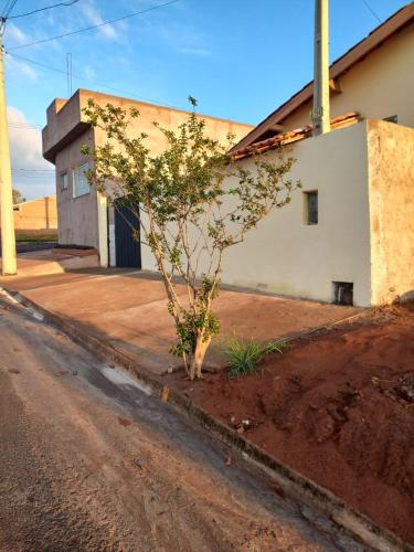 un petit arbre sur le côté d'une rue dans l'établissement SUÍTE NOMAR 3 campos prado, à Brotas