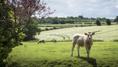 Mallard Grange B&B – Photos 4