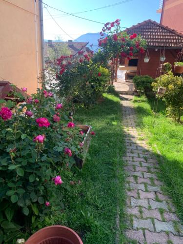 Giardino di Apartman Humska