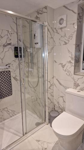 a bathroom with a shower and a toilet at The Dorking Hideaway B&B in Dorking