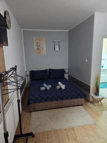 Zen 6 deluxe room