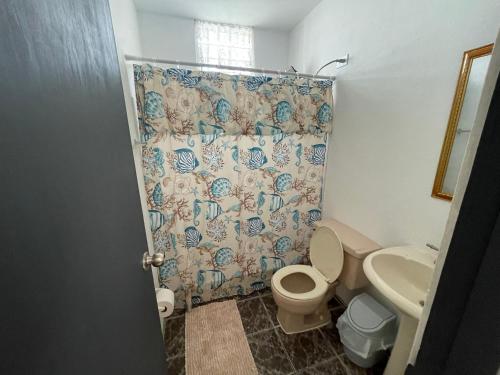 a bathroom with a toilet and a sink at Cozy Basic Apartment in Levittown in Levittown