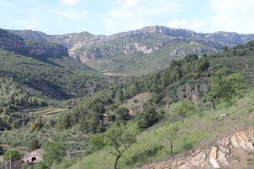 Blick auf einen Berg mit Bäumen und ein Haus in der Unterkunft Cal Millo in Vilella Alta