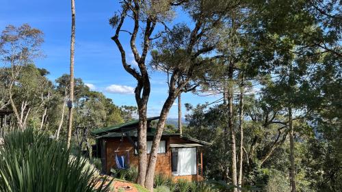 a cabin in the woods with trees at Vale Dourado Cabanas in Urubici