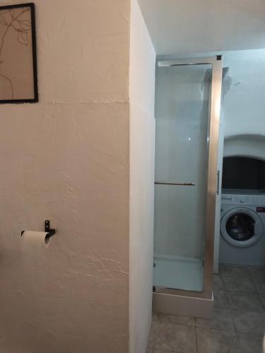 a bathroom with a refrigerator and a washing machine at Suita Brasonka in Braşov