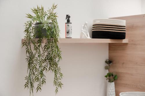a wooden shelf with two plants on it at Apartamento en Rionegro, Cerca al aeropuerto JMC in Rionegro
