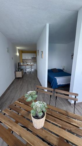 a room with a bed and a table with a potted plant at Vistas al Mar in Tacoronte