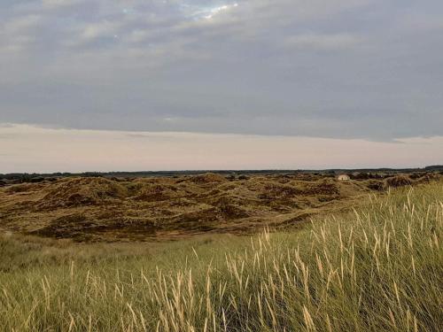 an open field with tall grass in a field at Bright Beach House with Sauna - By Traum Ferienwohnungen in Vejers Strand