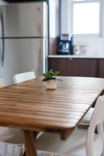 a wooden table with a plant sitting on top of it at Serenity Rincon Guesthouse in Rincon