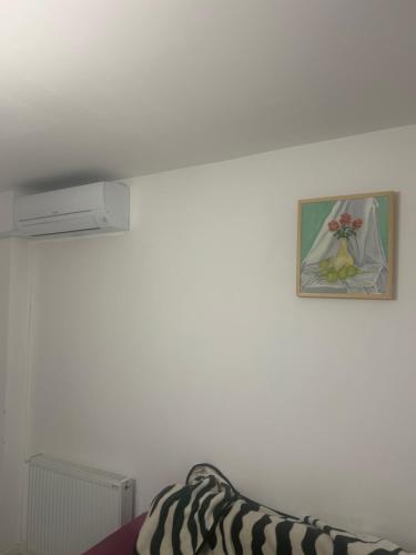 フロレシュティにあるApartament Superbのソファ付きの部屋