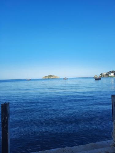 Paysage naturel près de l'auberge de jeunesse