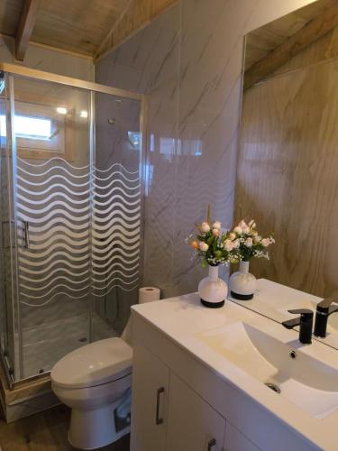 a bathroom with a shower and a toilet and a sink at Hospedaje Punto Cero in Chaitén