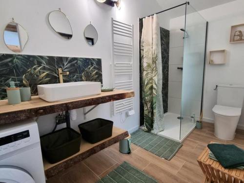a bathroom with a sink and a toilet and a shower at Gîte de charme pour 5 pers. avec terrasse privative dans la Loire - FR-1-496-375 in Grézieux-le-Fromental