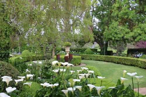 a garden with white flowers and a pond at 23onWindsor in Hahndorf