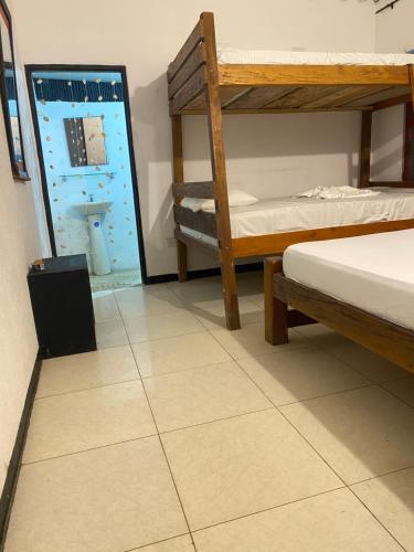 帕洛米诺Hostel casa jungla的相册照片