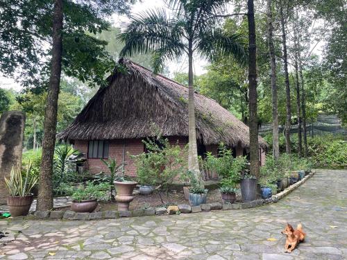 Zahrada ubytování Cactos Countryside Homestay Trị An