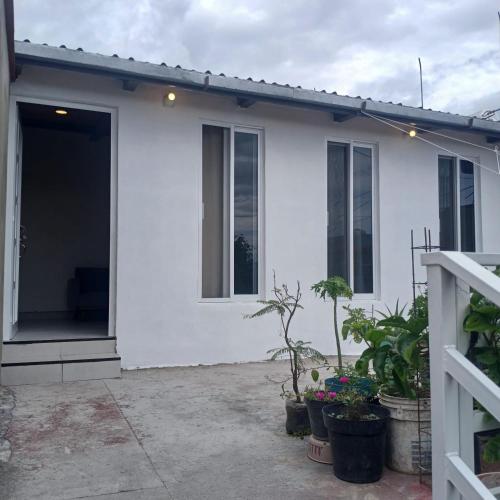 a white house with windows and potted plants at The Magic in Oaxaca City