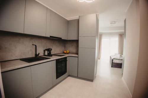 Kuchyň nebo kuchyňský kout v ubytování White House Iris Cluj Napoca - Apartament 2