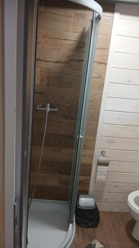 a shower with a glass door in a bathroom at Карпати котедж Анастасія in Skole